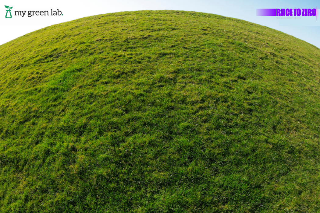 Race to Zero and MGL grassy hill