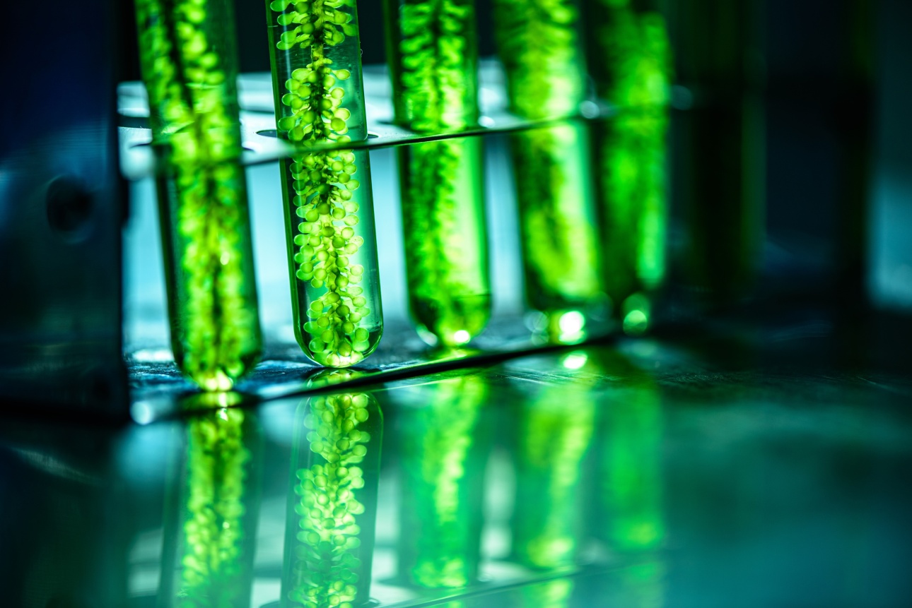green test tube