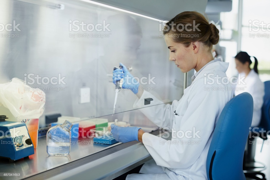 fume hood