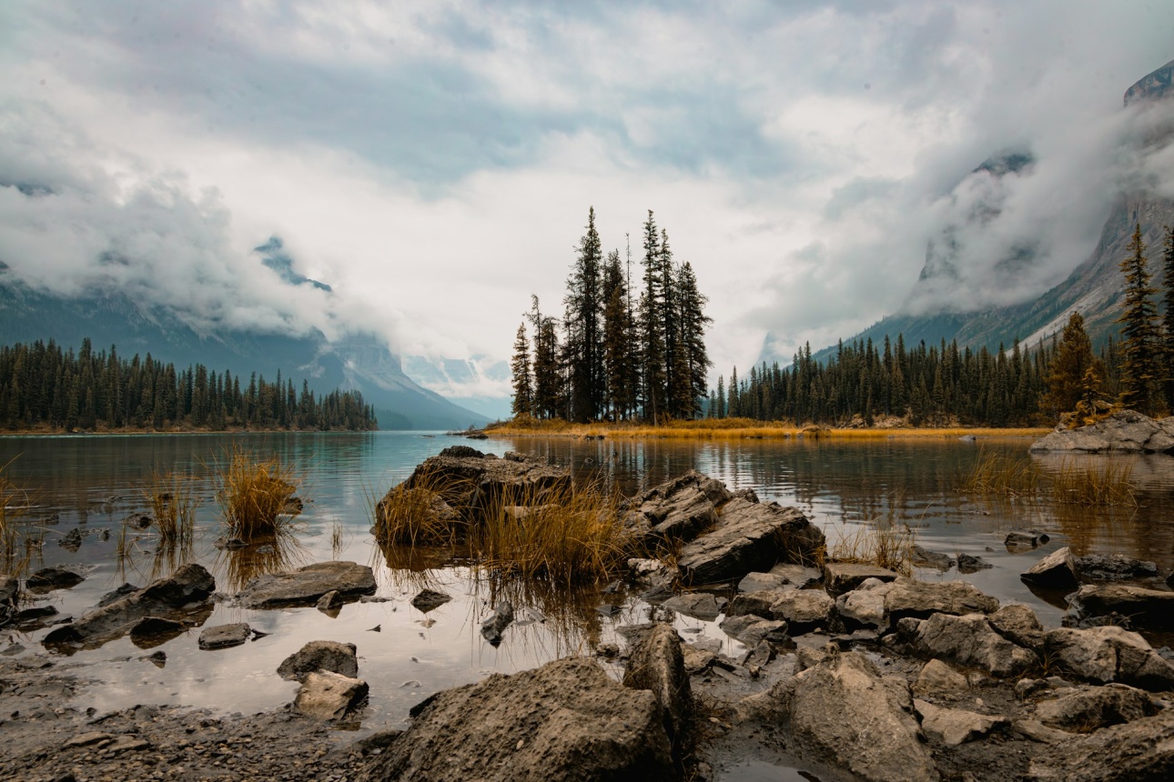 Placeholder image. Photo by Lianhao Qu.