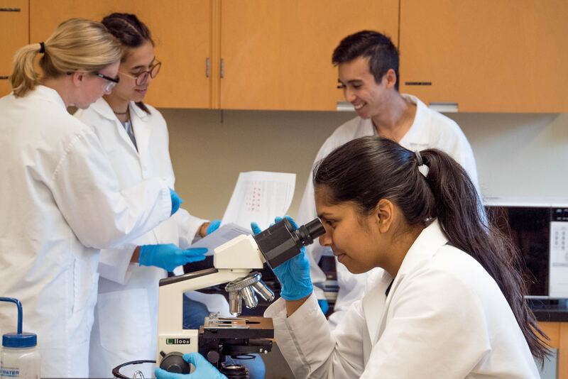 woman looking into microscope