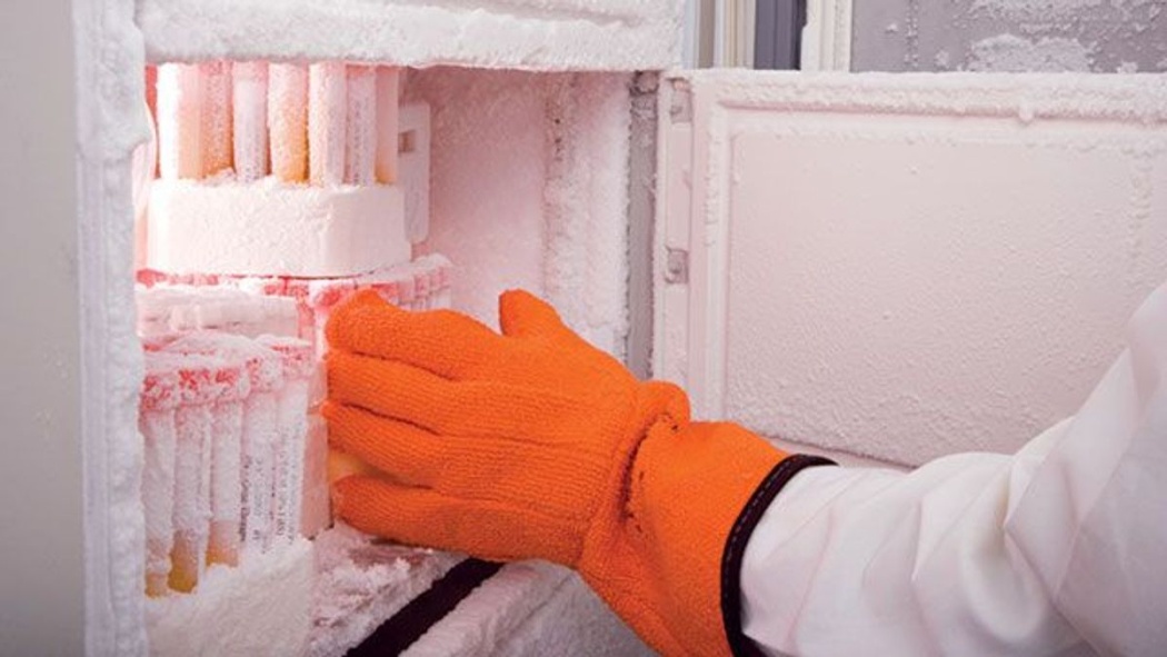 person with orange glove on reaching into freezer