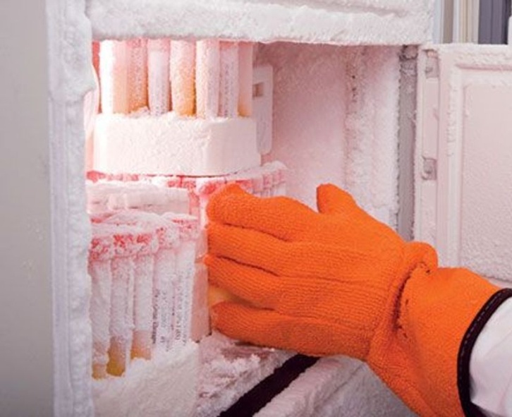 person with orange glove on reaching into freezer