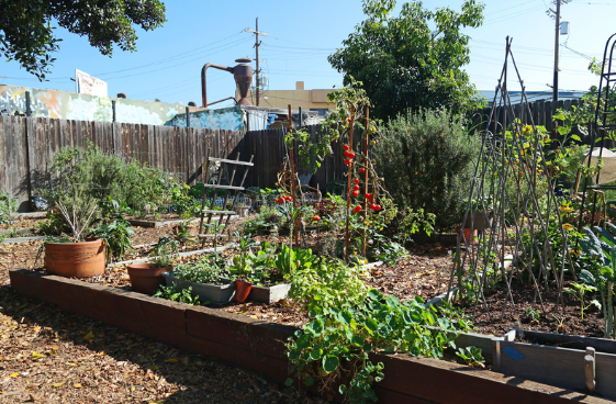 Garden