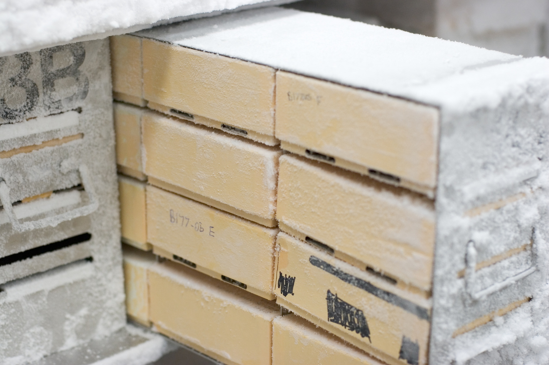 frosted containers