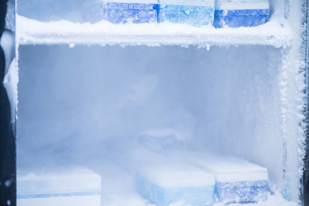 Freezer Challenge