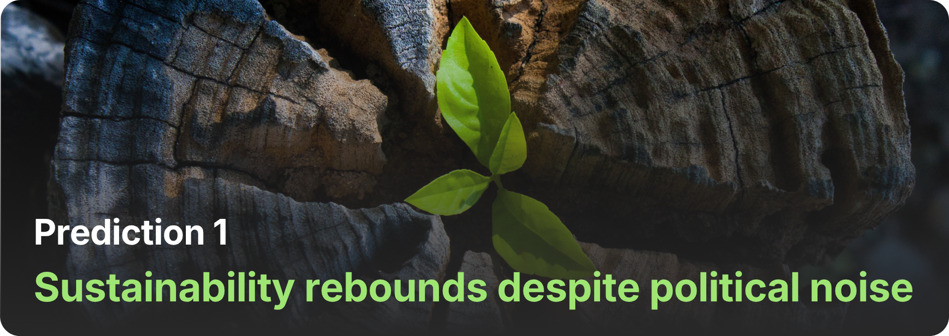 Prediction: In 2026, sustainability commitments will quietly re-accelerate as companies move from cautious messaging back to measurable action.