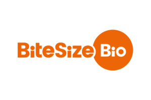 bitesize sponsor logo