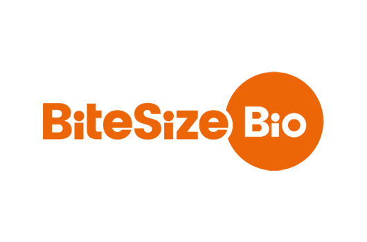 bitesize sponsor logo