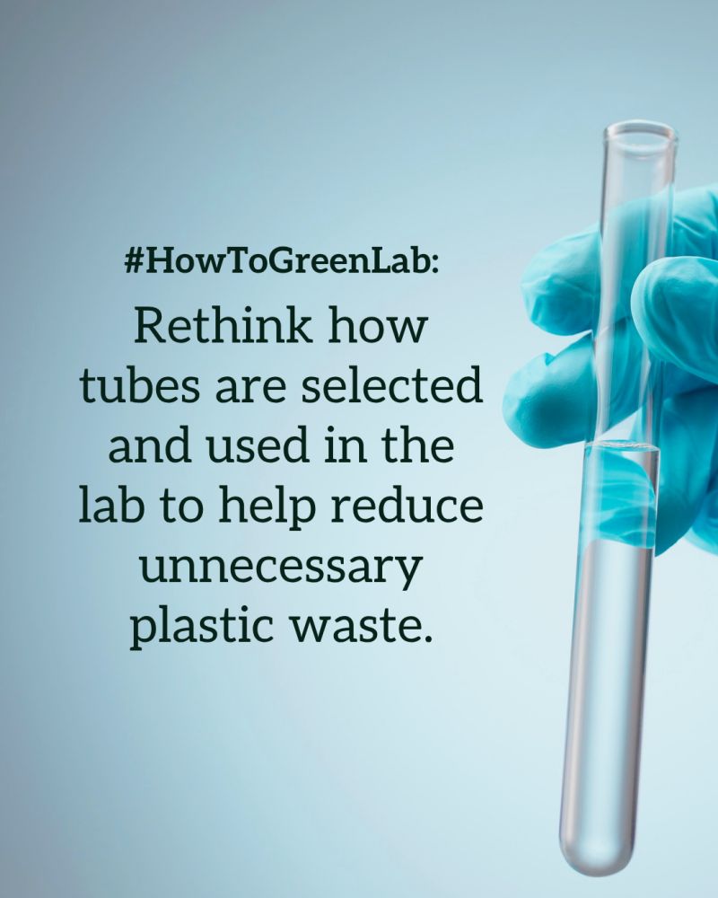 june #howtogreen